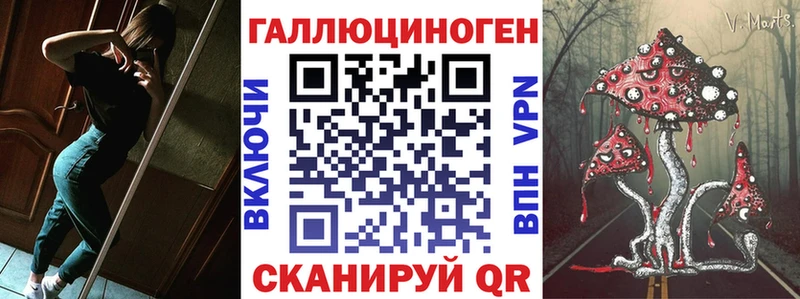 где можно купить   Олёкминск  Галлюциногенные грибы Psilocybe 